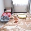 間違いさがし・・・するまでもなくの画像