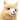 こんばんゎの記事画像