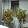 彼女と私のシンクロ率の画像