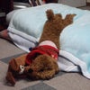 2011/03/23の画像