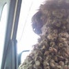 2011/03/27の画像