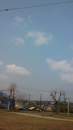 青空。の記事画像