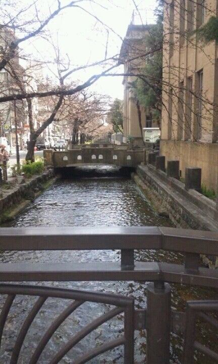 trip to kyotoの記事画像
