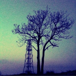 photo:05