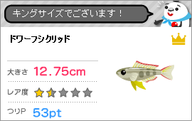 fishingの記事画像