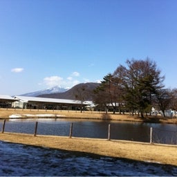 photo:10