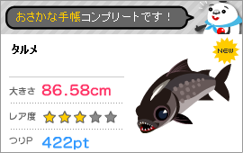 fishingの記事画像