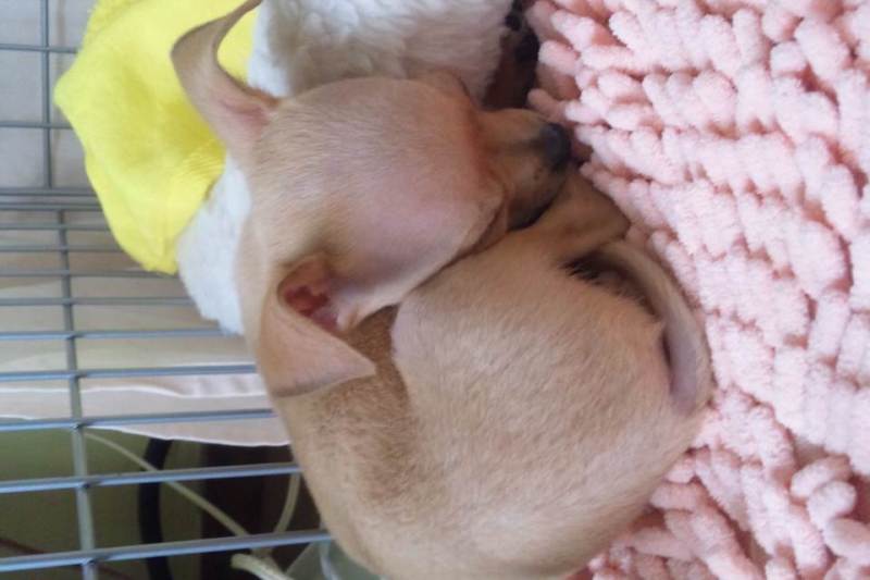 遊んで～の記事画像