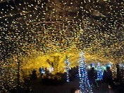 ☆春夏秋冬ぃぃﾄｺ日記☆-201104102123001.jpg