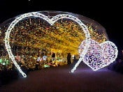 ☆春夏秋冬ぃぃﾄｺ日記☆-201104102116000.jpg