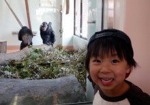 koichanのブログ-拓摩とチンパンジー