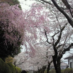 JuN☆JuN-2011041014340000.jpg