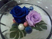 ☆春夏秋冬ぃぃﾄｺ日記☆-201104182020000.jpg