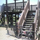 自転車のり、なんとか登った、花立山。の記事より