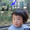 上野動物園の画像