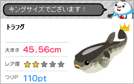 fishingの記事画像