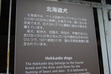ゆったんの厳選まるごと北海道♪-アイヌにとっては家族同然の北海道犬も見られます♪