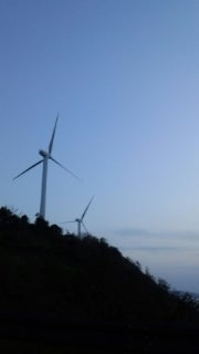 最終的には海の記事画像