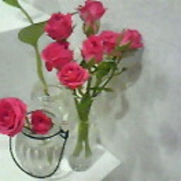 ☆春夏秋冬ぃぃﾄｺ日記☆-201105012025000.jpg