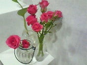 ☆春夏秋冬ぃぃﾄｺ日記☆-201105012025000.jpg