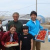 いちご農園・坂元中学校の画像