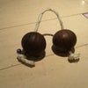 アサラトっていう楽器と出会いました!!の画像