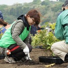5月1日 湘南国際村植樹祭の記事より