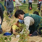5月1日 湘南国際村植樹祭の記事より