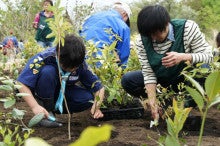 緑化推進事業の活動報告-5.1湘南国際村植樹祭