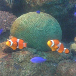 ドゥのハナウタｂｌｏｇ☆-SN390123.jpg