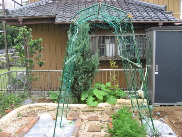 サラリーマンの気ままな家庭菜園