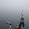 濃霧エギングの画像