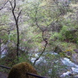 　チャンかなのblog-DVC00861.JPG