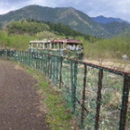 　チャンかなのblog-DVC00862.JPG