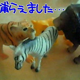☆春夏秋冬ぃぃﾄｺ日記☆-201105102237000.jpg