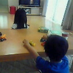 ☆春夏秋冬ぃぃﾄｺ日記☆-201105101619000.jpg