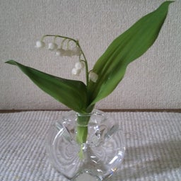 mamakoの気まぐれ日記