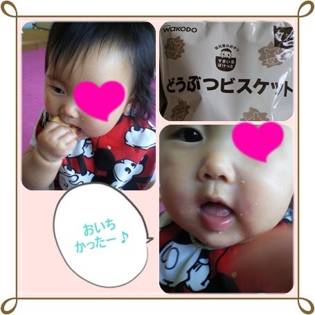 知恵熱 とクッキー Ma Mi Handmade 知恵熱 とクッキー Ma Mi Handmade