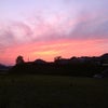 久しぶりの晴れ♪( ´▽｀)の画像