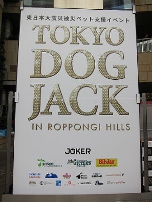 銀座由美ママの心意気-TOKYO DOG JACK看板