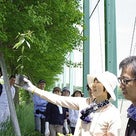 くくのちのモリプロジェクト植樹祭2011の記事より