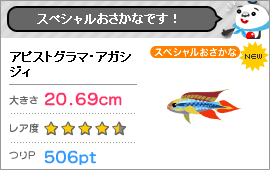 fishingの記事画像