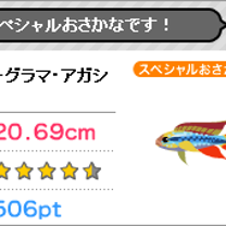 ブログ投稿画像