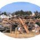 東日本大震災「宮脇昭　緑の長城　いのちを守る300キロの森づくり」テキスト版の記事より