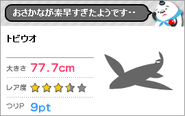 迷之魚 777の記事画像