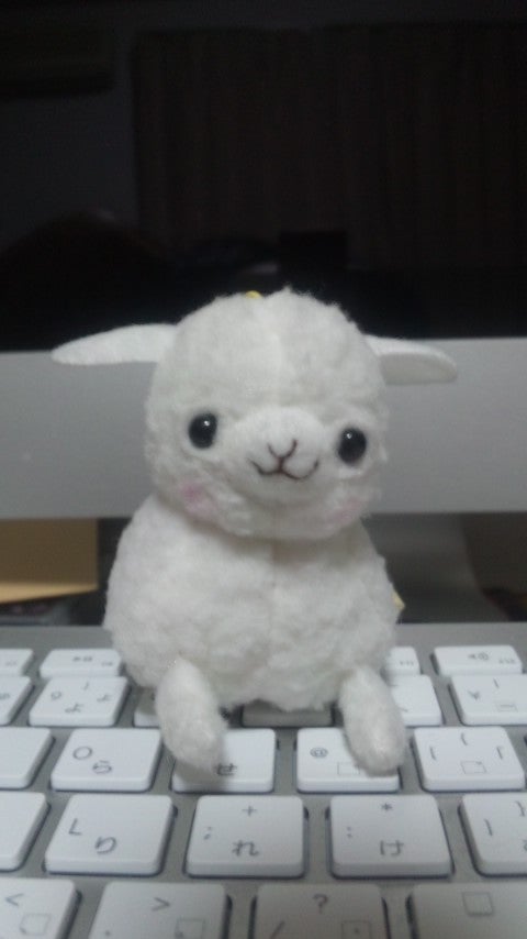 はじめてってくらいの記事より
