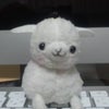 はじめてってくらいの画像