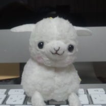 ブログ投稿画像