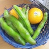 おつまみ　（＾－＾）の画像