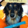 画像加工してみた(^^) の画像